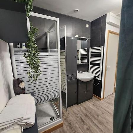 La Petite Loge De L'Ile Apartment น็องต์ ภายนอก รูปภาพ