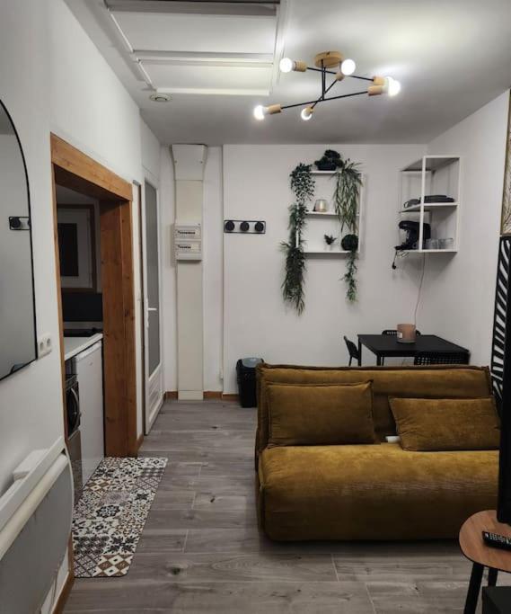 La Petite Loge De L'Ile Apartment น็องต์ ภายนอก รูปภาพ