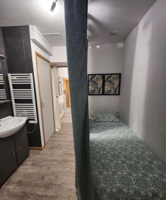 La Petite Loge De L'Ile Apartment น็องต์ ภายนอก รูปภาพ